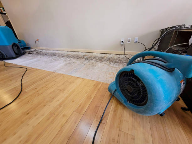 Professional Structural Drying technician working in Sherman, IL